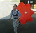 Resistant Parachute